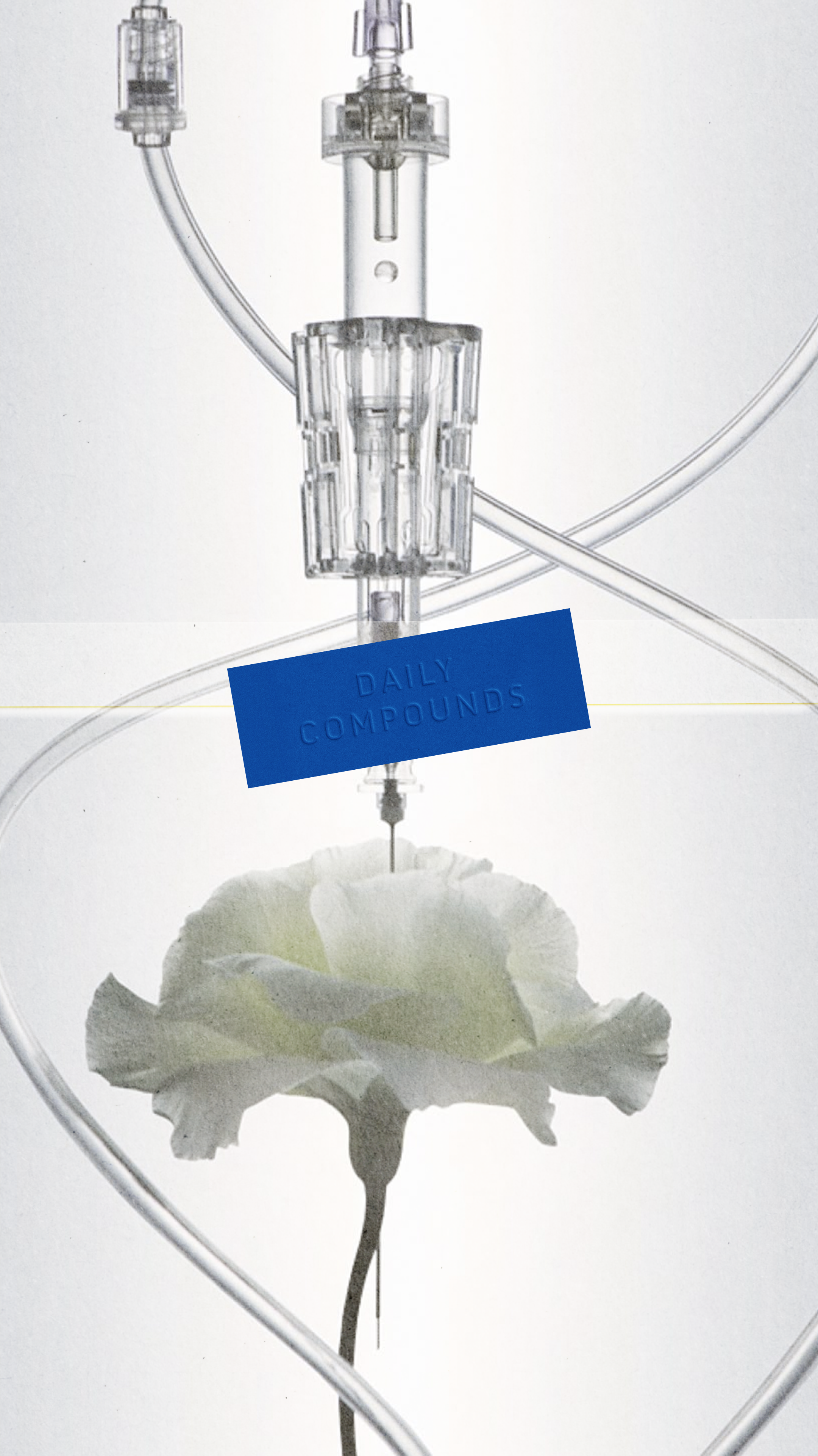 Daily wear perfumes that won't overwhelm your office or commute